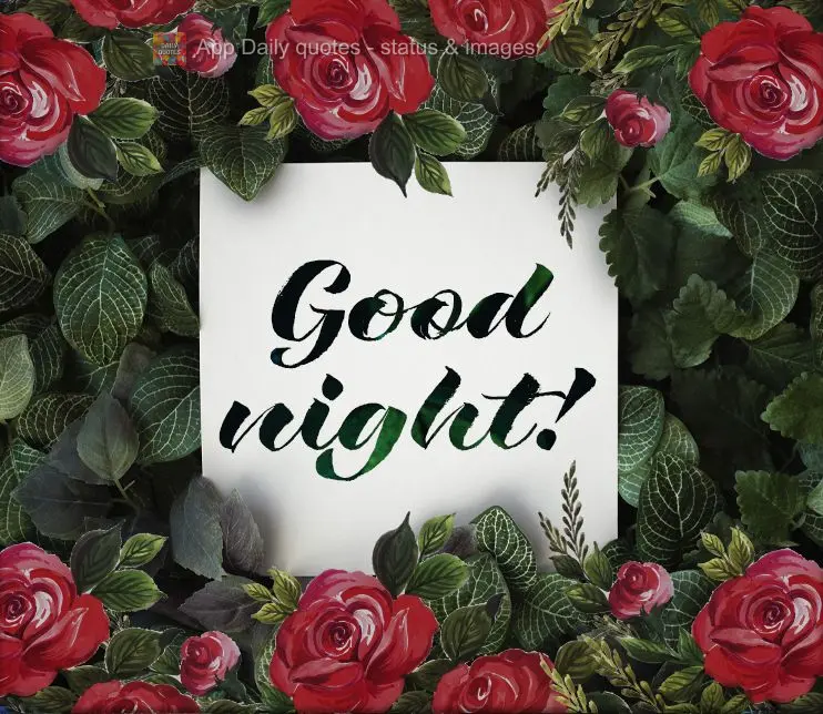 Good night!