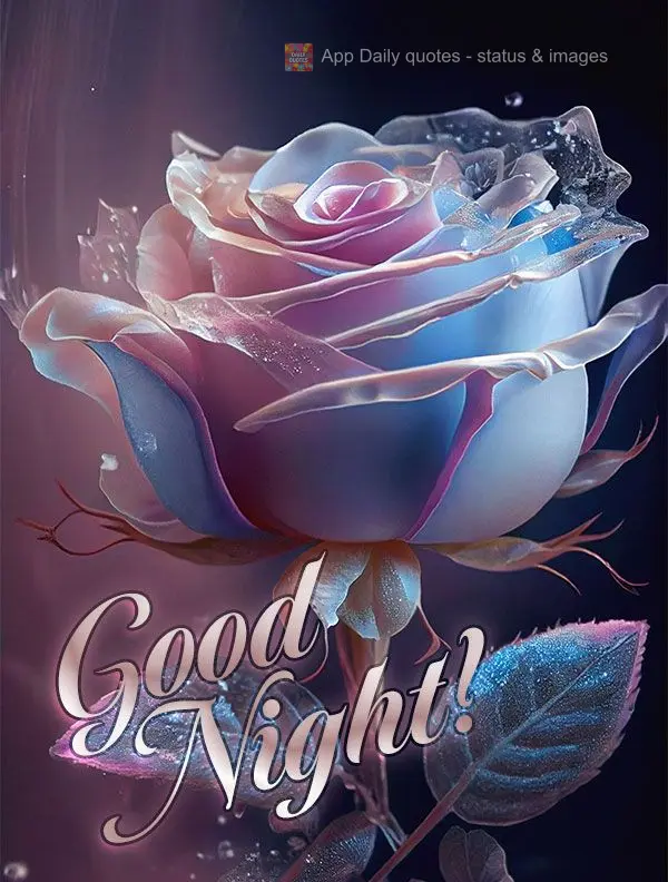 Good night!