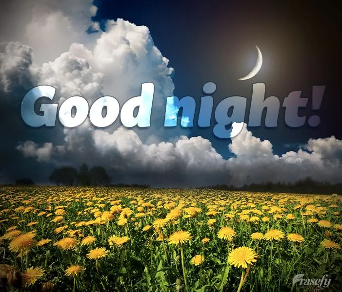 Good night!