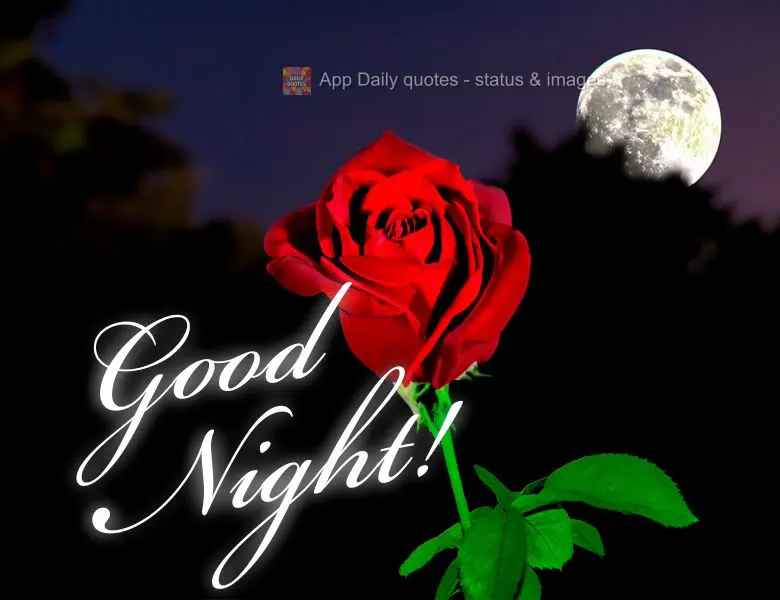 Good night!