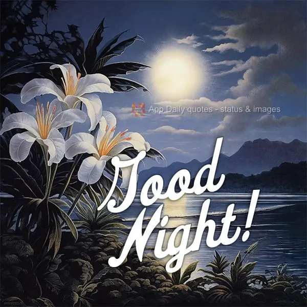 Good night!