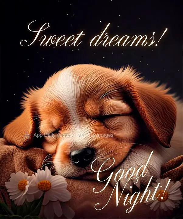 Good night! Sweet dreams!