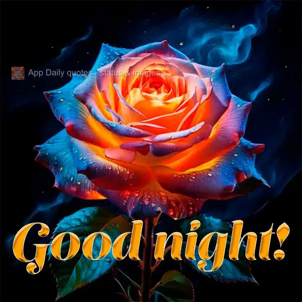 Good night!