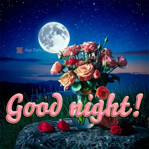 Good night!