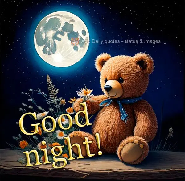 Good night! 