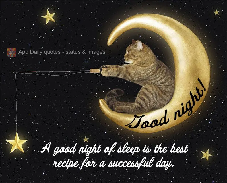 A good night of sleep is the best recipe for a successful day. Good night!