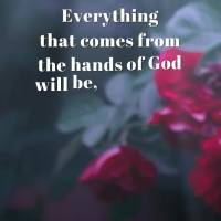 Anything that comes from the hands of God will be, without a doubt, the most beautiful blessing that you will receive! Feel blessed! Have a good night!...