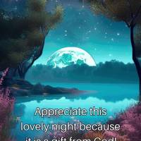 Appreciate this lovely night because it is a gift from God! Good night!
