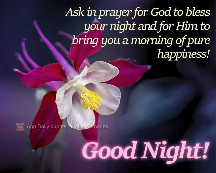 Ask in prayer for God to bless your night and for Him to bring you a morning of pure happiness! Good Night!