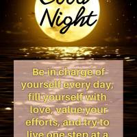 Be in charge of yourself every day, fill yourself with love, value your efforts, and try to live one step at a time joyfully. Good night