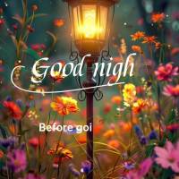 Before going to bed, give thanks for the blessings you have received, and leave tomorrow to God. He always knows the best plan for us. Good night!