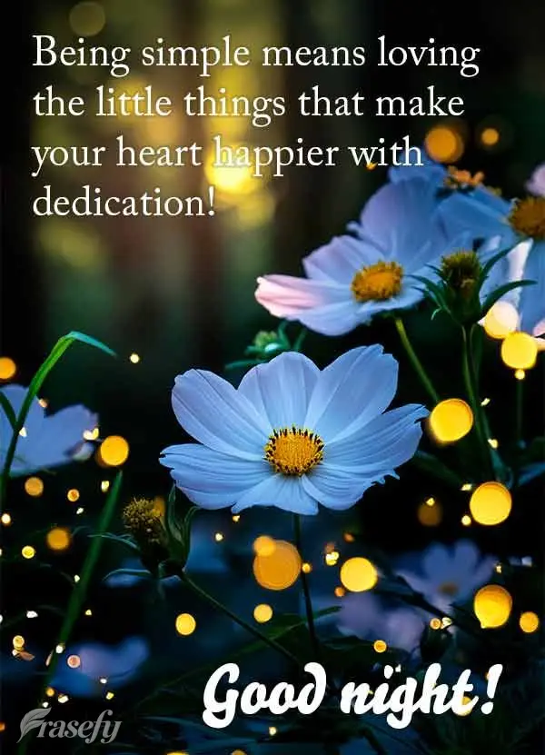 Being simple means loving the little things that make your heart happier with dedication! Good night!