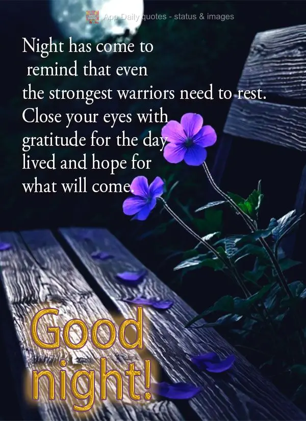 Between the silence of the nighttime and the twinkling of the stars is the sincere wish that your heart finds serenity and your thoughts, peace. Good nig...