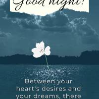 Between your heart's desires and your dreams, there are many possibilities that you can embrace to achieve all that is in your plans. Good night!
