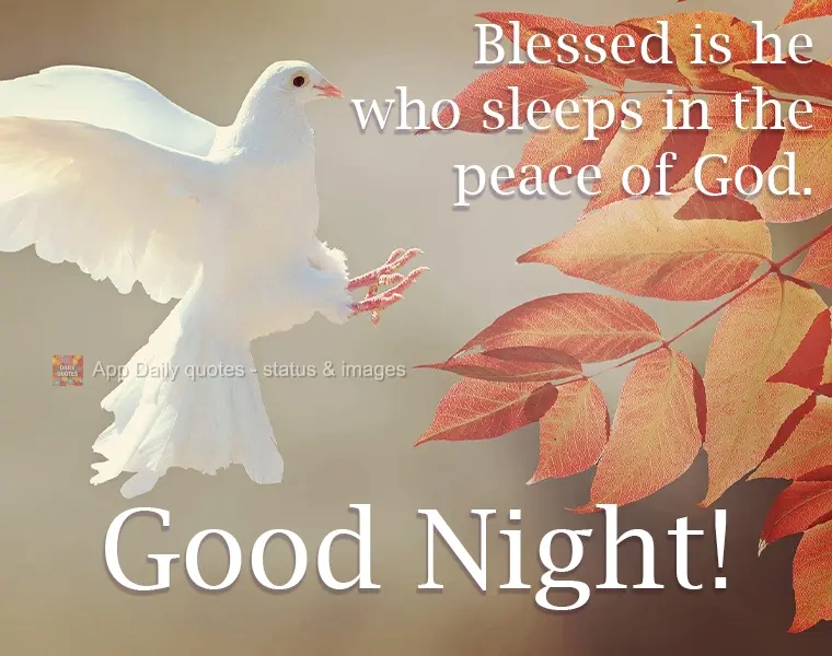 Blessed is he who sleeps in the peace of God. Good Night!