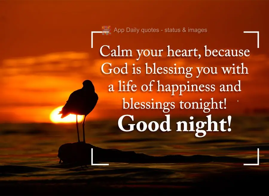 Calm your heart, because God is blessing you with a life of happiness and blessings tonight! Good night!