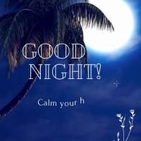 Calm your heart, God is taking care of your troubles and preparing you to receive a day full of blessings! Good night!