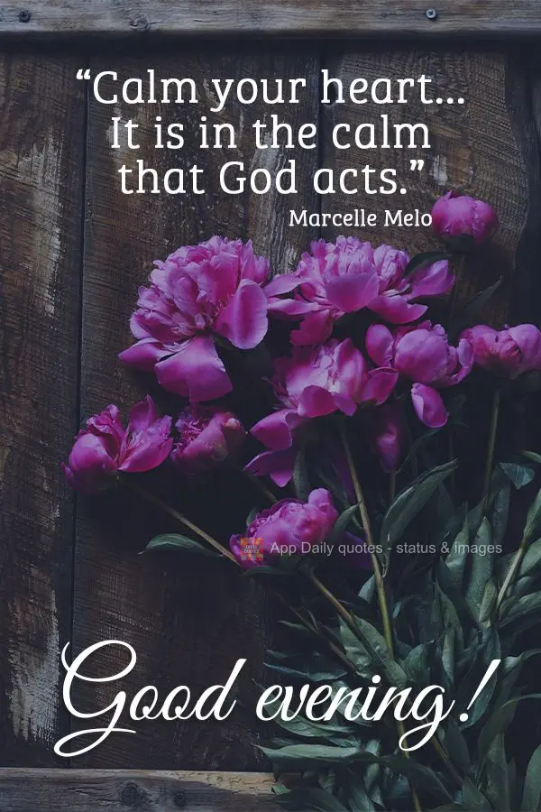 "Calm your heart... It is in the calm that God acts." Good evening! Marcelle Melo
