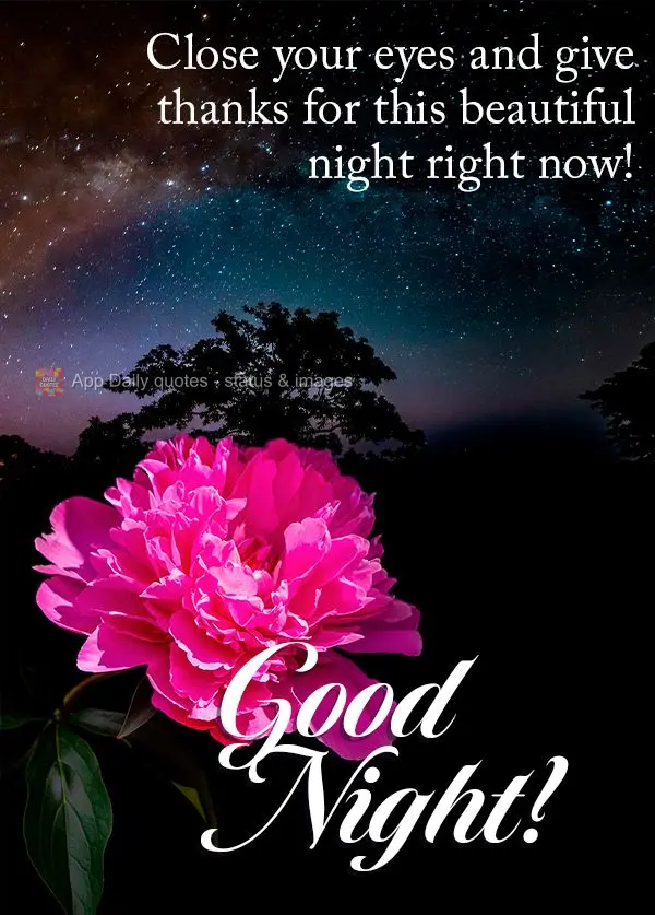 Close your eyes and give thanks for this beautiful night right now! Good night!