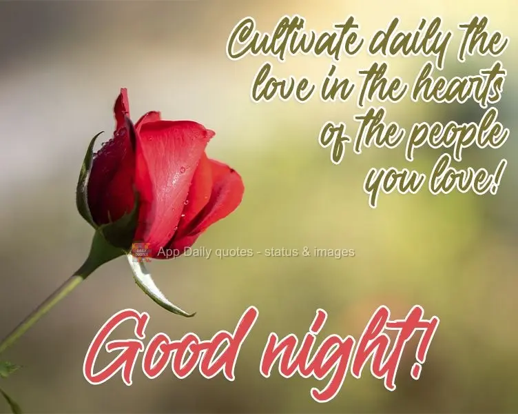 Cultivate daily the love in the hearts of the people you love! Good night!