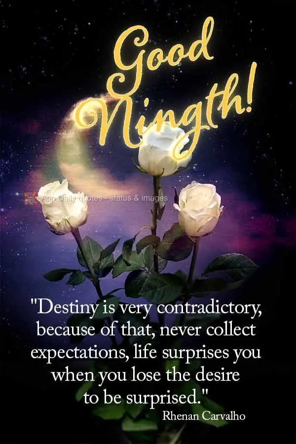 "Destiny is very contradictory, because of that, never collect expectations, life surprises you when you lose the desire to be surprised." Goodn Rhenan C...
