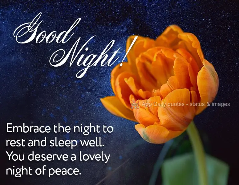 Embrace the night for resting and sleeping well. You deserve a lovely night of peace. Good night!