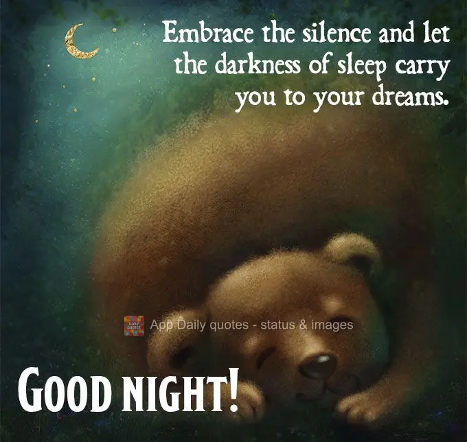 Embrace the silence and let the darkness of sleep carry you to your dreams. Good night!
