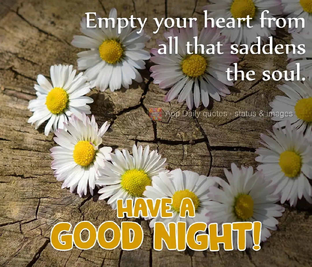 Empty your heart of all that saddens the soul. And have a good night!