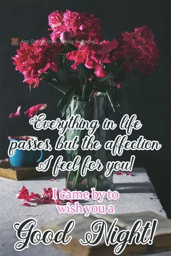Everything in life passes, except for the affection I feel for you! I came by to wish you a Good Night!
