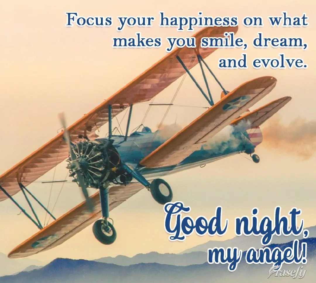 Focus your happiness on what makes you smile, dream, and evolve.
 Good night, my angel!
