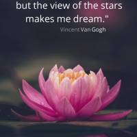 "For my part, I don't know anything for certain, but the view of the stars makes me dream." Good night! Vincent Van Gogh
