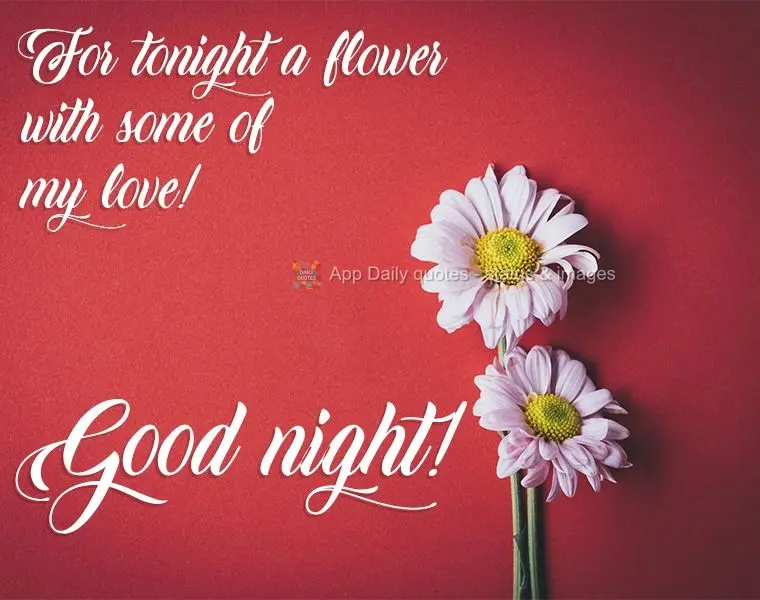 For tonight a flower with some of my love! Good night!
