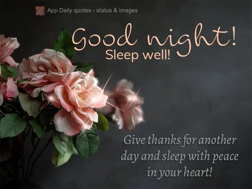 Give thanks for another day and sleep with peace in your heart! Good night! Sleep well!