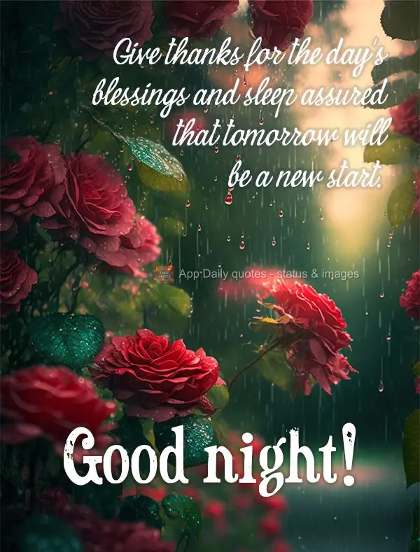 Give thanks for the day's blessings and sleep assured that tomorrow will be a new start. Good night!