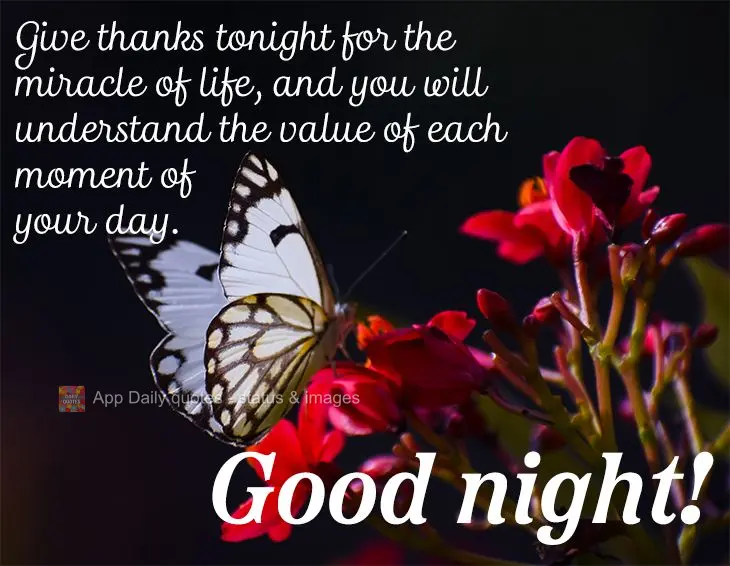 Give thanks tonight for the miracle of life, and you will understand the value of each moment of your day. Good night!