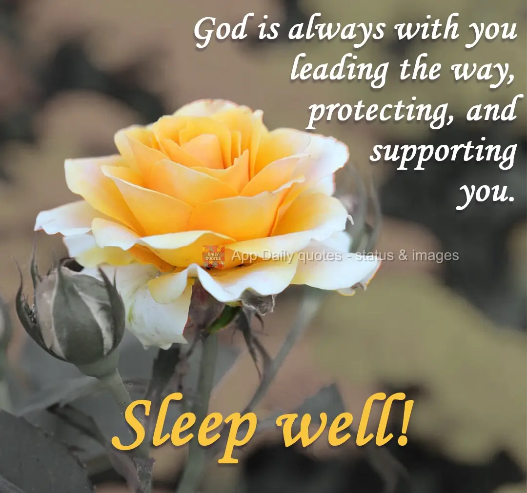 God is always with you leading the way, protecting and supporting you. Sleep well!