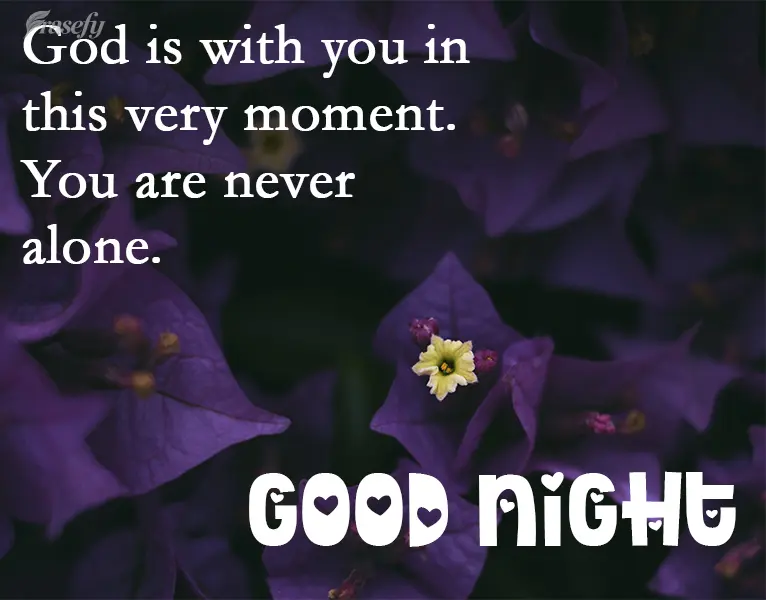 God is with you in this very moment.
You are never alone. Good Night!