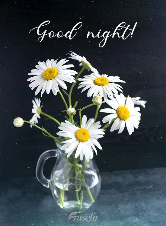Good night! 