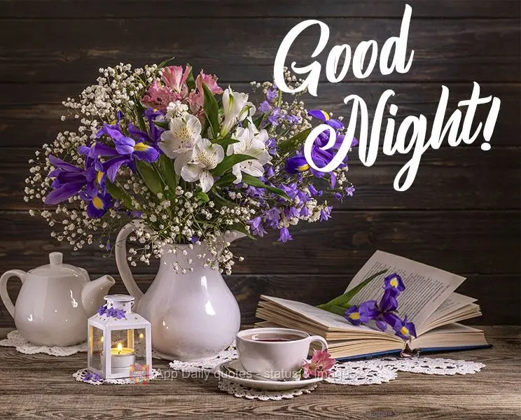 Good night!