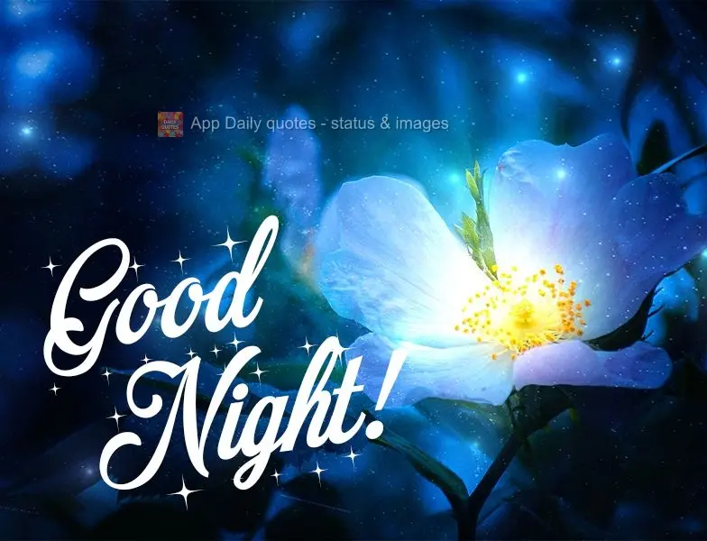 Good night!