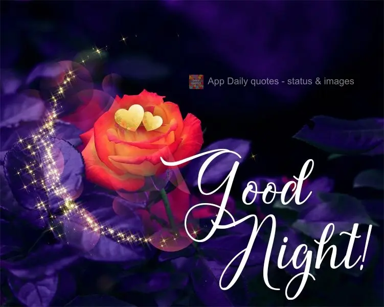 Good night!