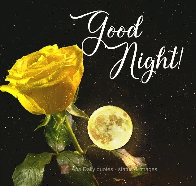 Good night! 