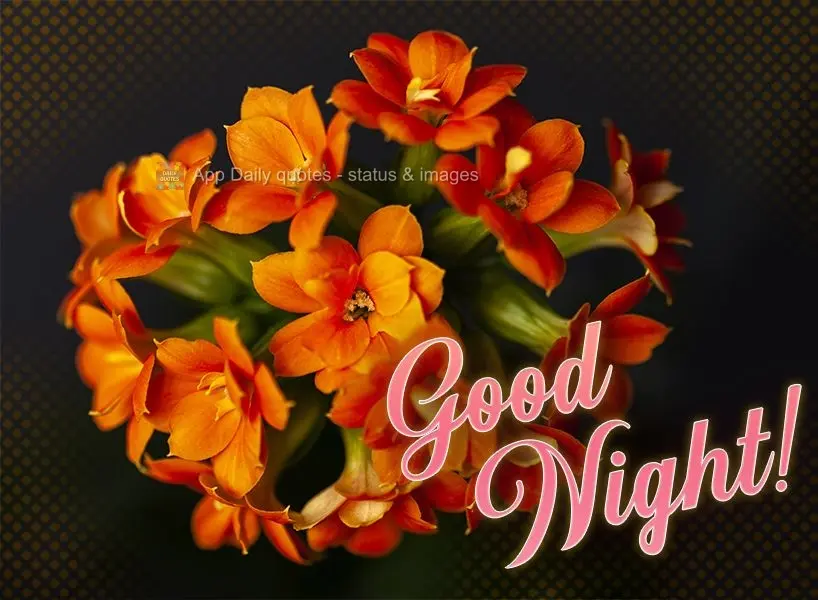 Good night!
