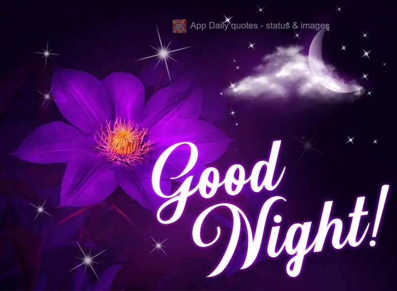 Good night!