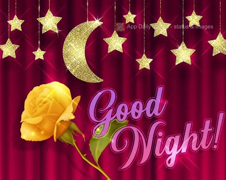 Good night!