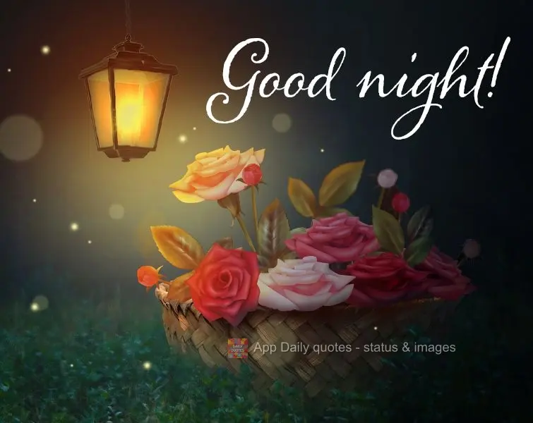 Good night!