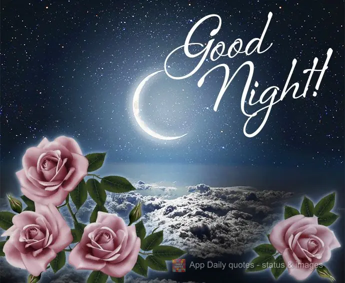Good night