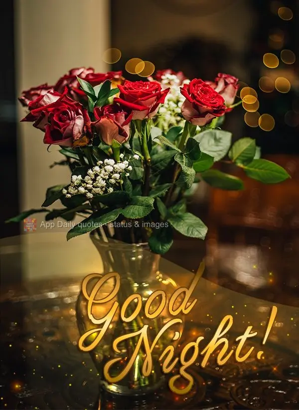 Good night!