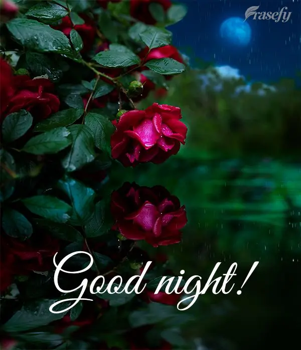 Good night!