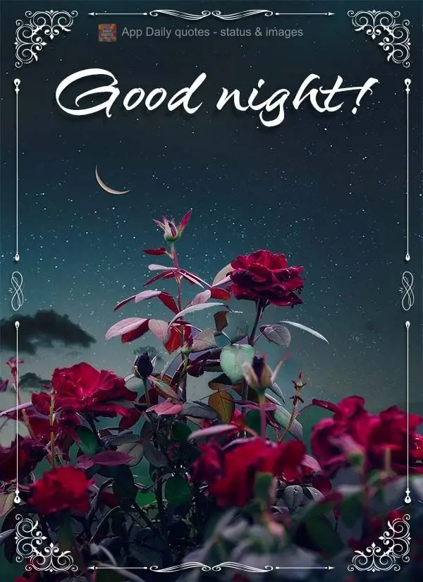 Good night!